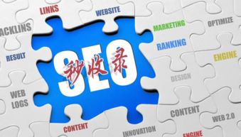 互联网营销实战指南 破解网站收录难题，实现销售落地为王